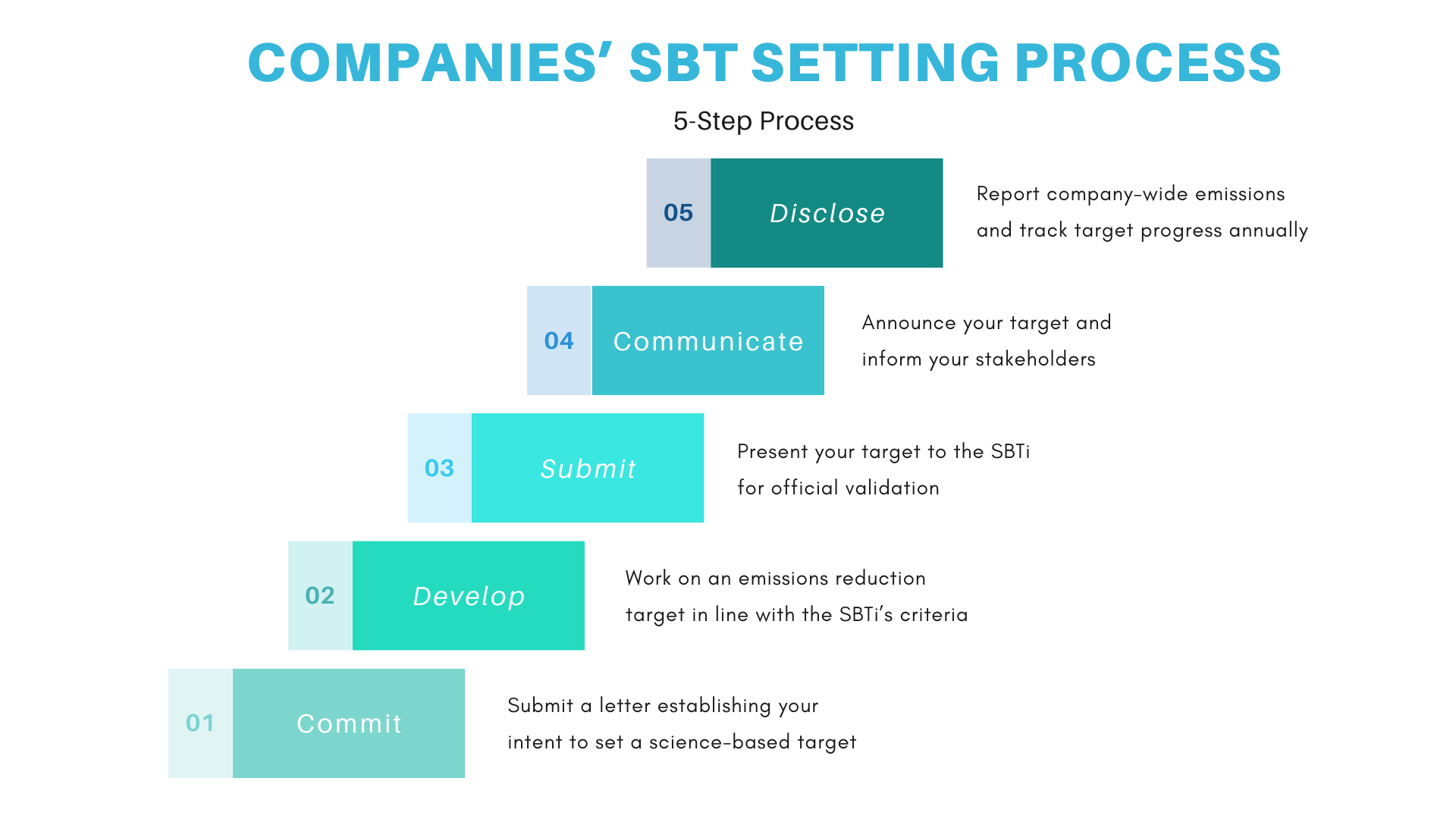 Company's SBT setting Process