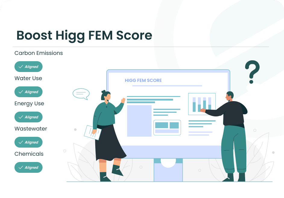 boost higg fem score
